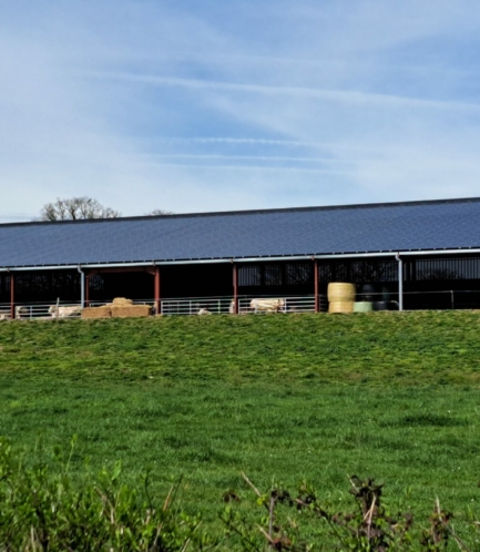 Allier Stabulation Agricole RCE Photovoltaique 4