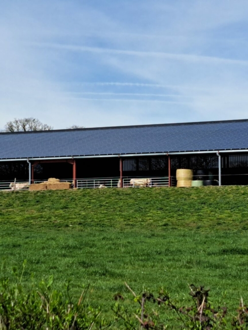 Allier Stabulation Agricole RCE Photovoltaique 4