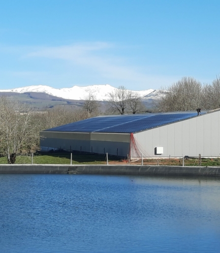 Cantal Stabulation Agricole RCE Photovoltaique 4
