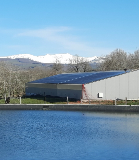 Cantal Stabulation Agricole RCE Photovoltaique 4