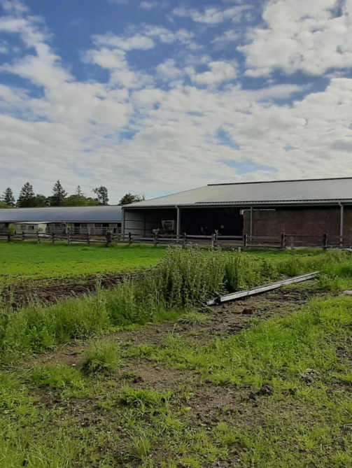 20200514_094546