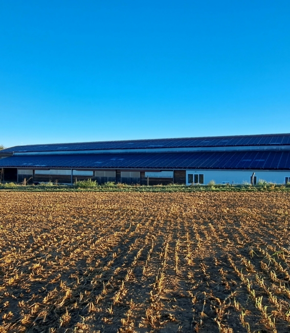 20221005_083551-scaled