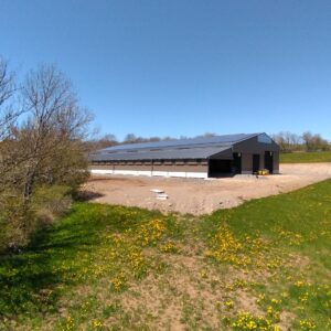 P_20190515_141436