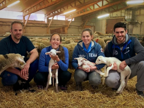 a67dc433-ee60-4eac-a59e-e32788dd20c9_JPG